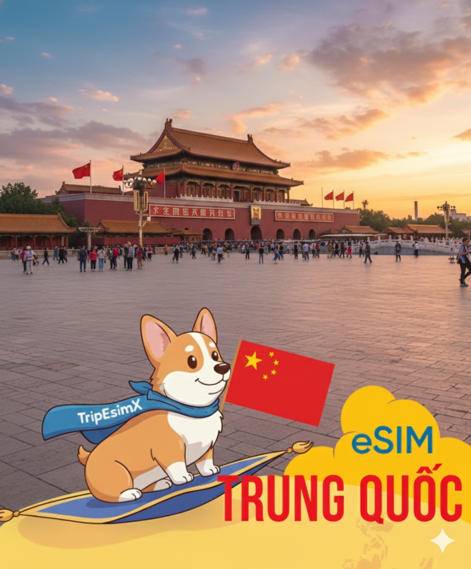 Kinh nghiệm mua SIM Trung Quốc cực hay bạn không thể bỏ qua